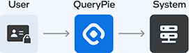 Key Features